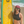The Snag - Colorado Surf Club (CLOSEOUT)